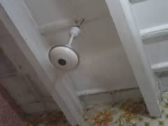 3 Ceiling Fans (Younis) for Sale 0