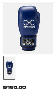 Sting company new boxing glove
