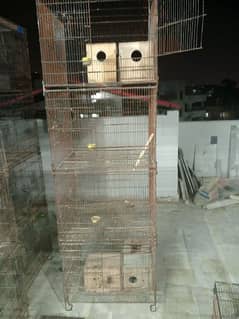 Folding Birds Cage In Reasonable price