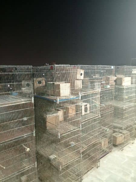 Folding Birds Cage In Reasonable price 2