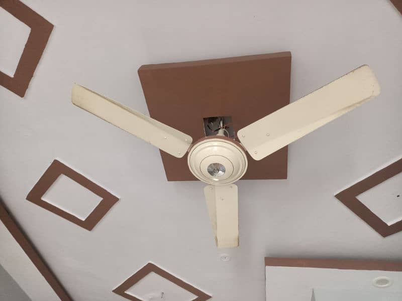 ceilings fans for sale 1