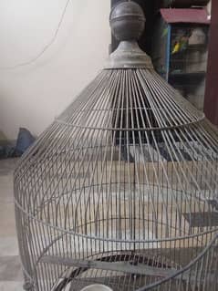 cage for ringneck parrot