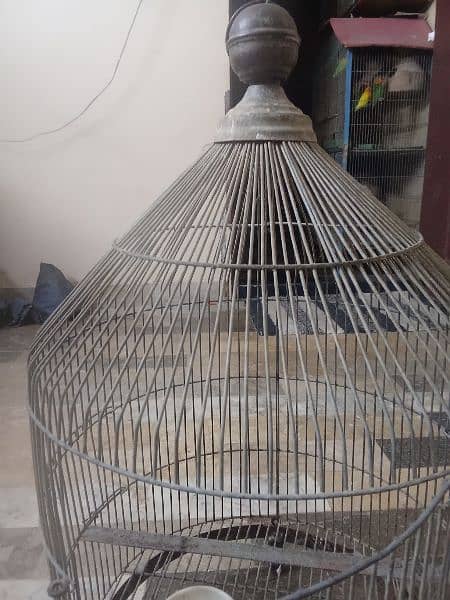 cage for ringneck parrot 0
