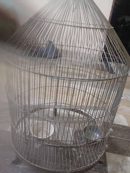 cage for ringneck parrot 1