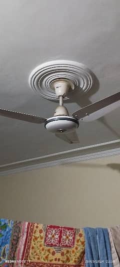 3 used but just like new fan 56"