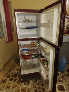 PEL
PEL PRGD-130 Glass Door Refrigerator