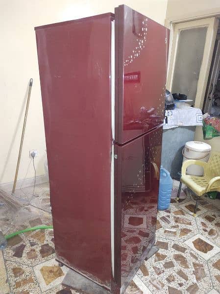 PEL
PEL PRGD-130 Glass Door Refrigerator 2