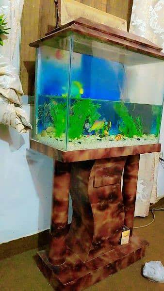 Aquarium for sell 1