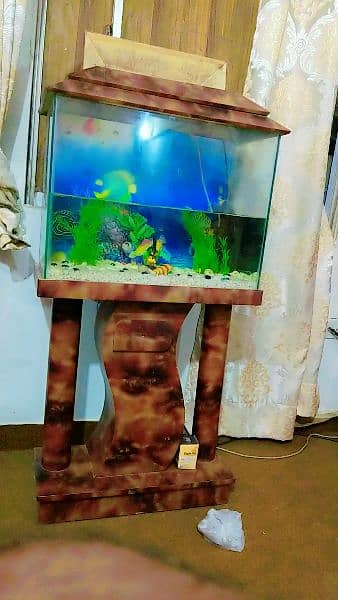 Aquarium for sell 2