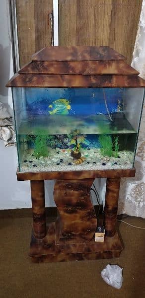 Aquarium for sell 4