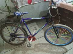 Original Phoenix Cycle - Bicycle for sale 0