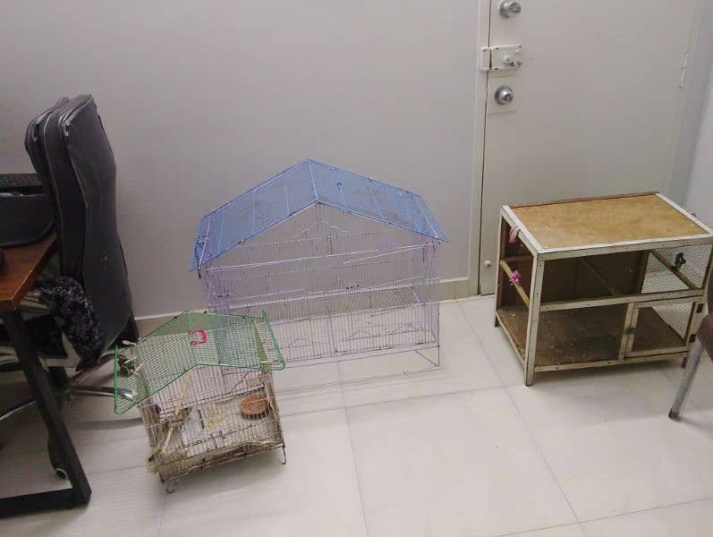 cage for sale 1