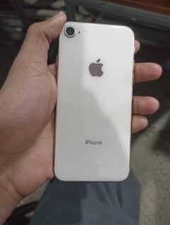 Iphone 8 White colour 64 GB JV Non pta 0