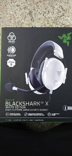 Razer Headphones 0