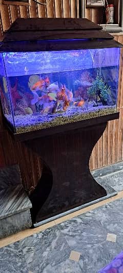 Fish aquarium for sale.