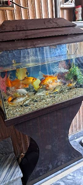 Fish aquarium for sale. 1