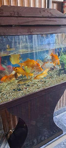 Fish aquarium for sale. 4
