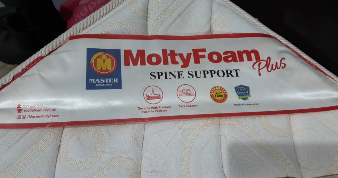 Spine Support Molty Foam Plus 3