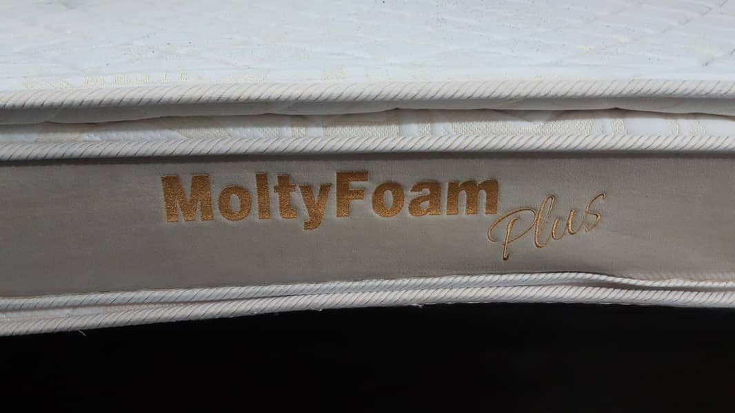 Spine Support Molty Foam Plus 5