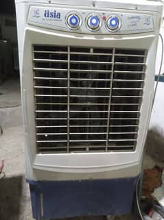 12volt cooler for sale