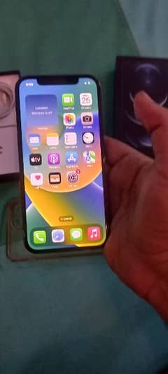 pta approved iphone 12 pro