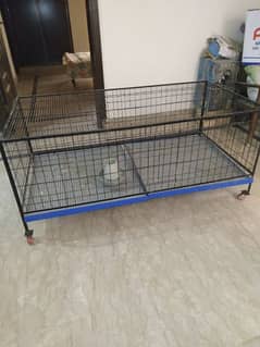 Hen cage (Pinjara) for sale