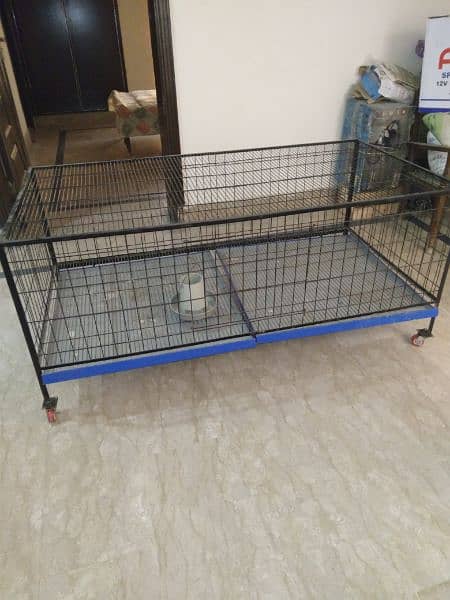 Hen cage (Pinjara) for sale 0