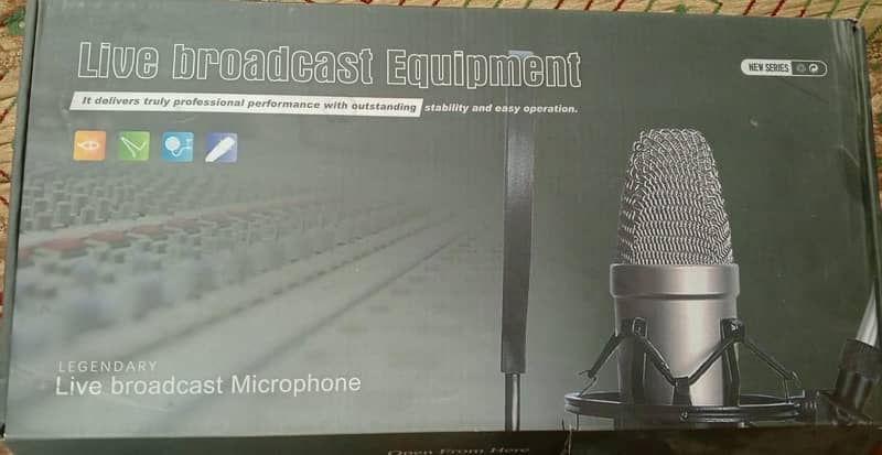 BM 800 microphone 1