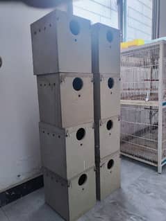 1 flight cage breeding cage