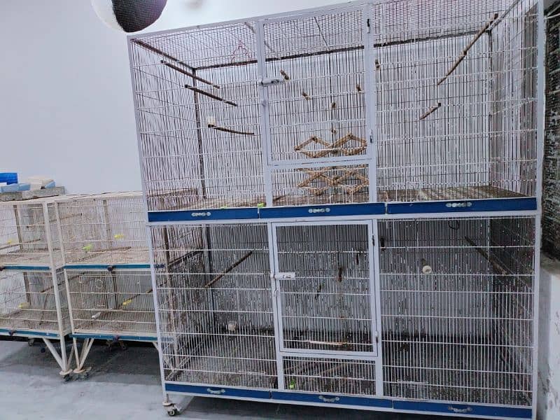 1 flight cage breeding cage 1