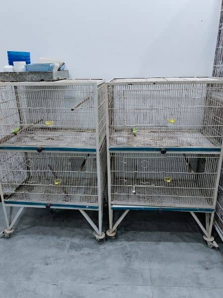1 flight cage breeding cage 2