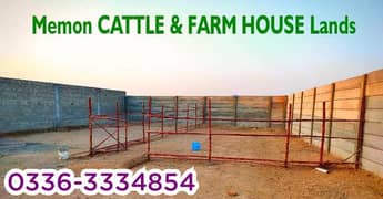 Cattle and Farmhouse Land