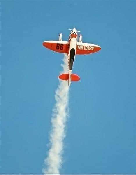 Goldwing ARF Gee Bee R3 20CC Gas RC Airplane 6