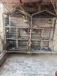 5 PORTION CAGES FOR SALE - COCKTAIL LOVEBIRD DOVE JAVA FINCH BUDGRI