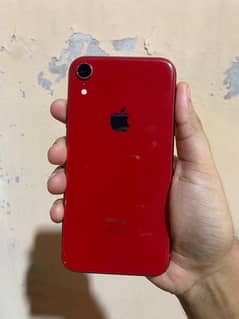 iPhone Xr 64gb Dual PTA Approved