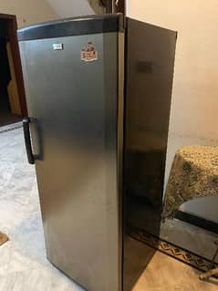 vertical Freezer ( Signature)-Sold