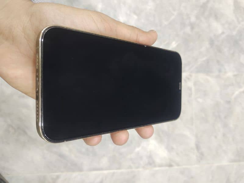 Iphone 12 Pro Max 3