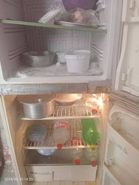 pel refrigerator 1