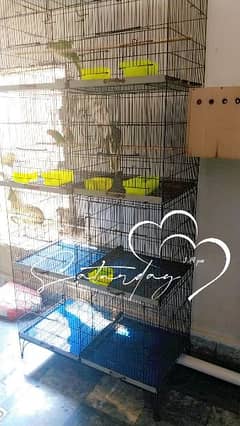 Birds cage 8 poshion
