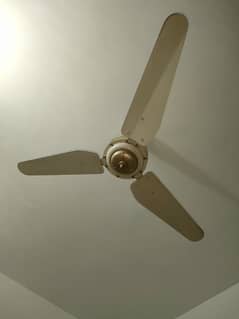 GFC Ceiling Fan
