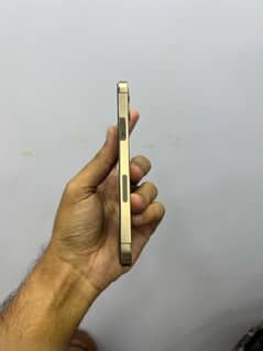 iphone 12 pro 256 pta approved
