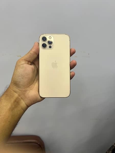 iphone 12 pro 256 pta approved 1