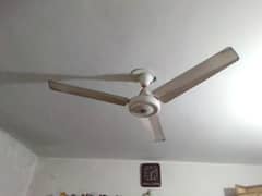 ceiling Fan 56 inch