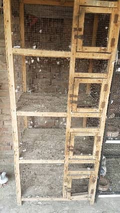 4 portion cage available