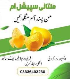 Export quality Mangos available 03339052222