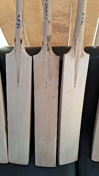 CA CRICKET BATS WITHOUT STICKER (FACTORY STOCK) Grade 1 English Willo 6