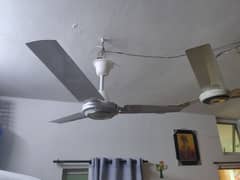 36watt DC celling fan 36''