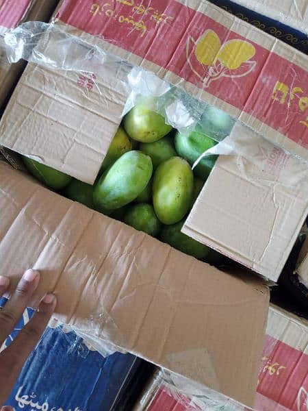 lagra amm mango export quality 1