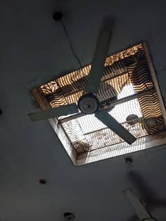 ceiling fan