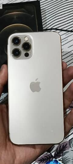 I Phone 12 pro PTA Approved dual physical